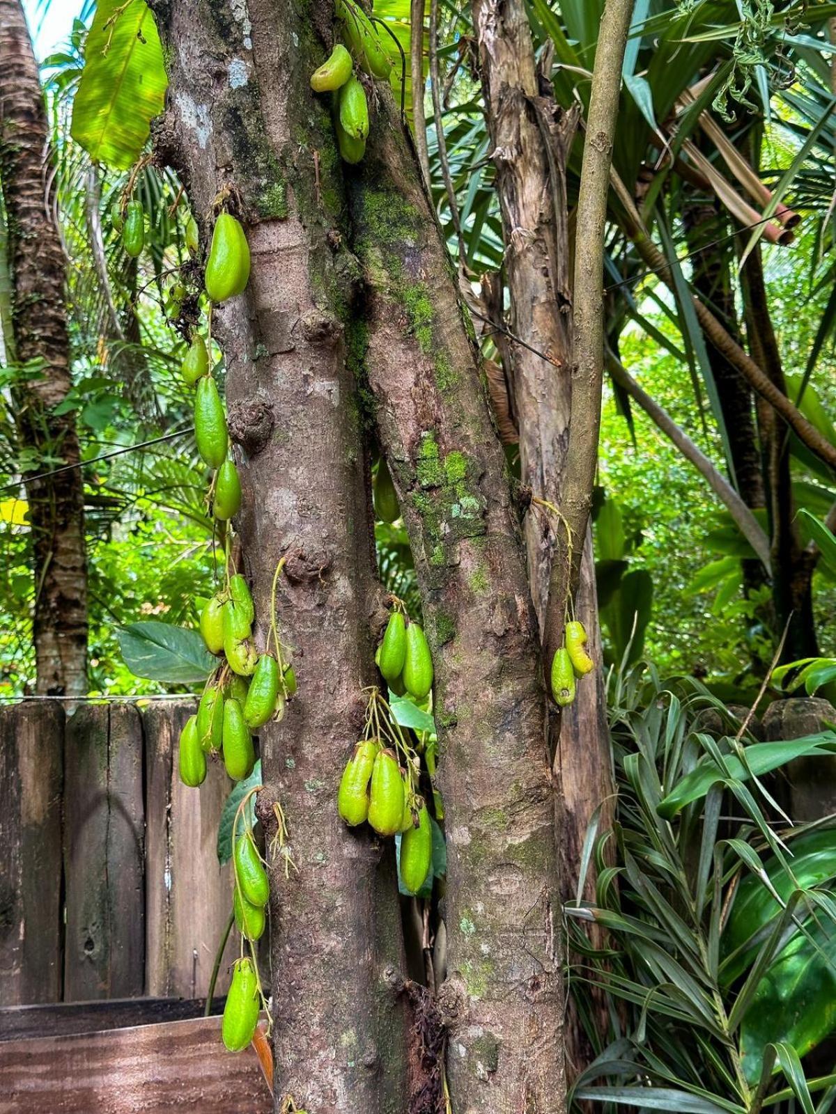 Casa Da Gloria Trancoso - Pousada Boutique المظهر الخارجي الصورة